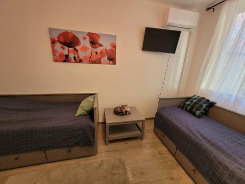 Hostal Tulip Home Guest House