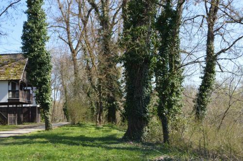 Margitka Fah�z