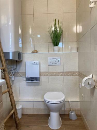 Hostal Velemi Vend�gh�z