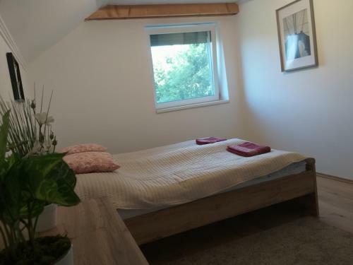 T�lgyerd? Apartman