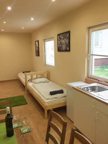 Apartamento Budapest Airport , Accommodation In Vecs�s