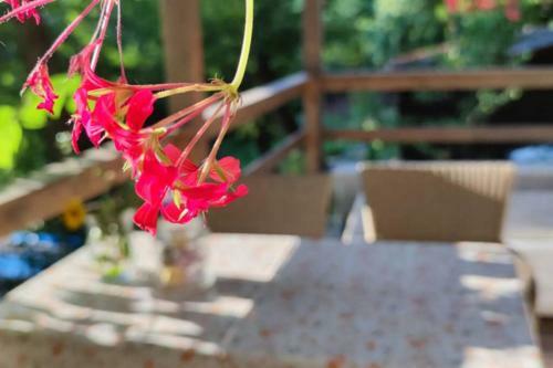 Apartamento Dombos Vend�gh�z
