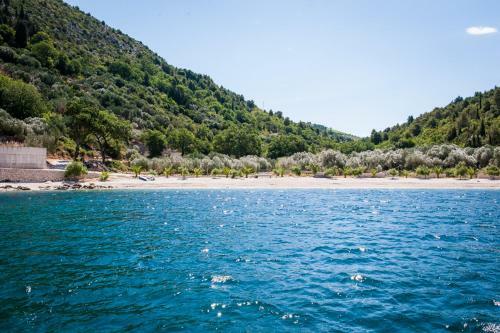 Apartamento Villa Maslina Duba