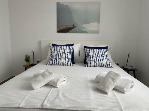 Apartman Roko Duboka