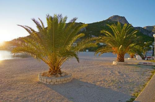 Holiday Apartment On The Beach