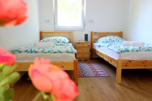 Friends & Family Apartmanok Velence