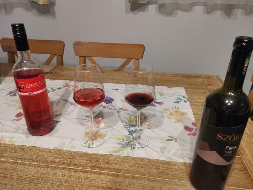 Apartamento Nov�k Porta Vend�gh�z-tab, Zala