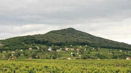 Szende Apartman
