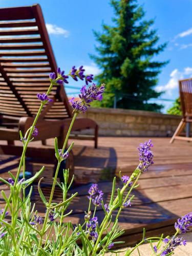 Terrace Apartman Pr�mium Belv�ros Jacuzzival
