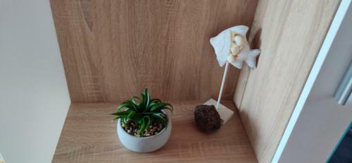 Kov�cs Vend�gh�z Vonyarcvashegy
