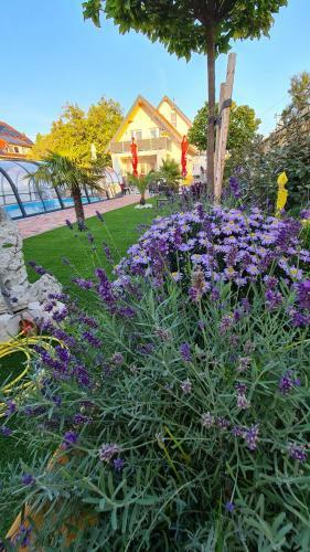 U8 Apartmanh�z