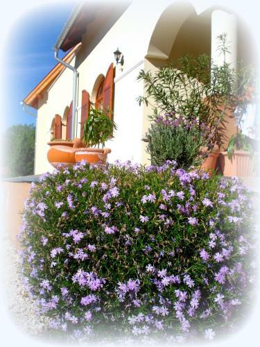 Hostal Napvir�g-h�z