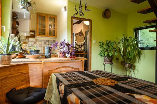 Apartamento Fanima Vend�gh�z
