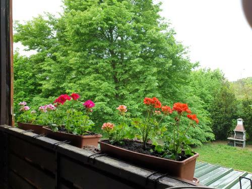 R�ba Part Apartman