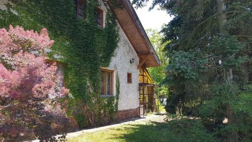 Apartamento Haus Veronika