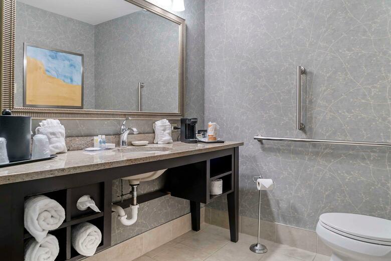 Hotel Comfort Inn Plainwell