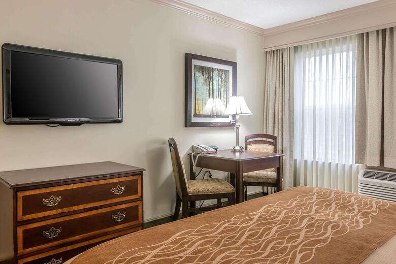Hotel Comfort Inn Plainwell