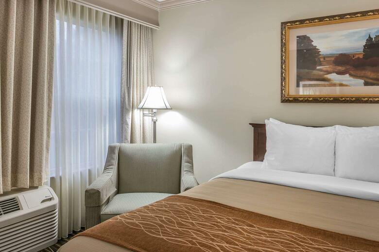 Hotel Comfort Inn Plainwell