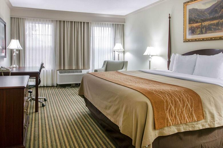 Hotel Comfort Inn Plainwell