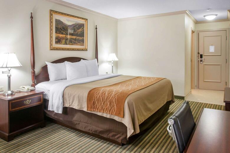 Hotel Comfort Inn Plainwell