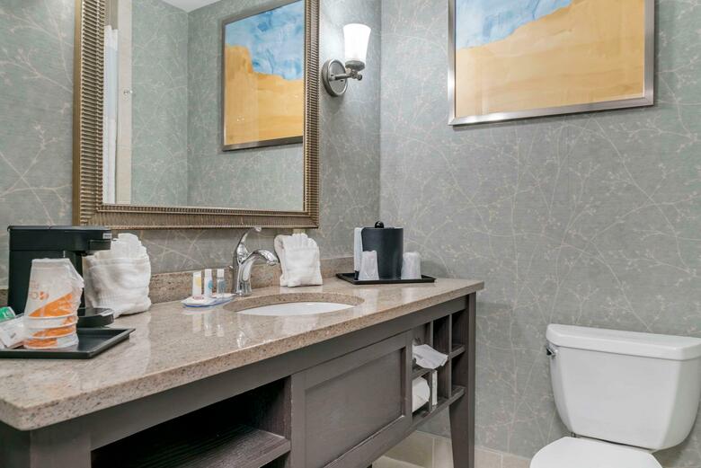 Hotel Comfort Inn Plainwell