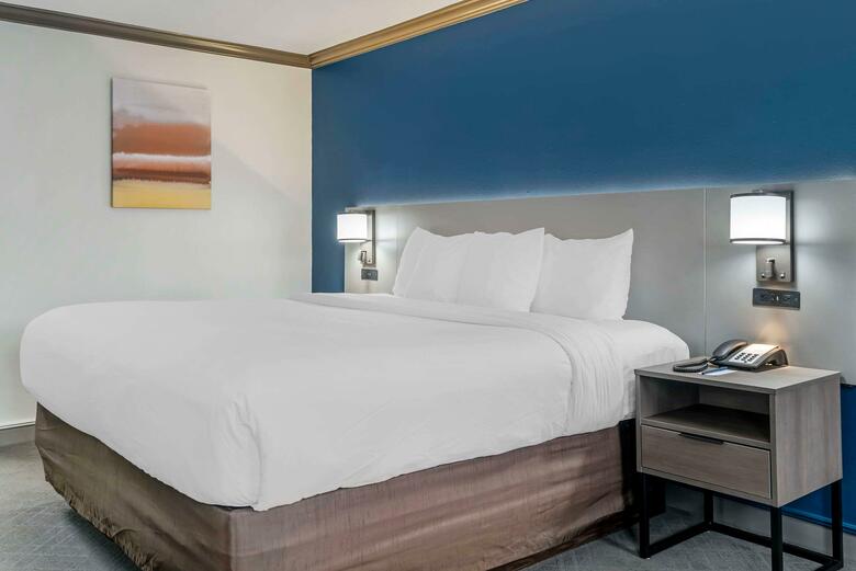 Hotel Comfort Inn Plainwell