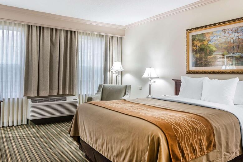 Hotel Comfort Inn Plainwell