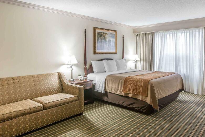 Hotel Comfort Inn Plainwell
