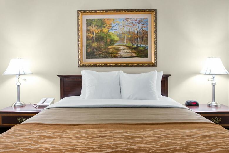 Hotel Comfort Inn Plainwell