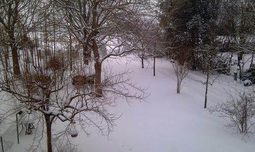 Bed & Breakfast La Quercia E Il Gelso