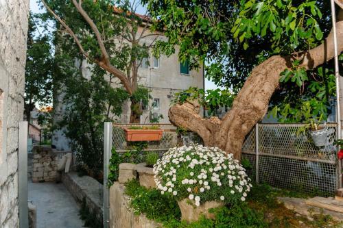 Hostal Apartment And Room Nona Stella