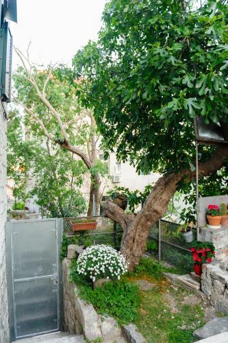 Hostal Apartment And Room Nona Stella