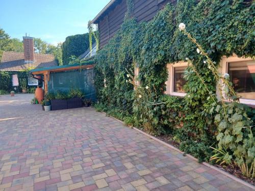 Hostal Pension Runde Wiese