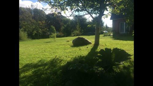 Hostal Pension Runde Wiese