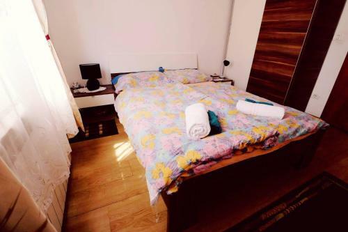 Apartment Nicol