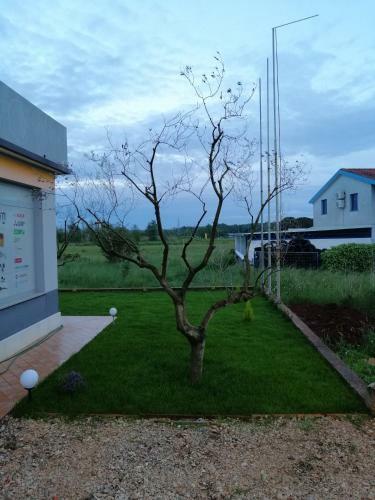 Apartman Lana