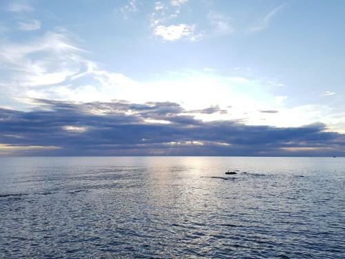 Apartment Leone Umag