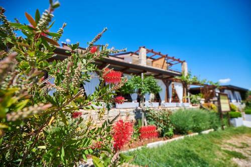 Hostal Sobe Sole
