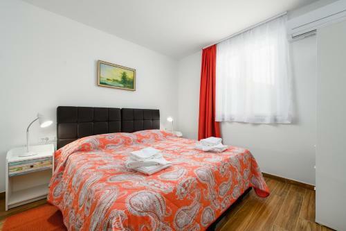 Hostal Andrea House With Apartments
