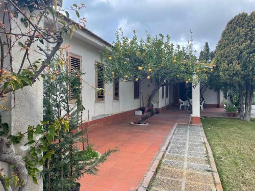 Villa Elisa