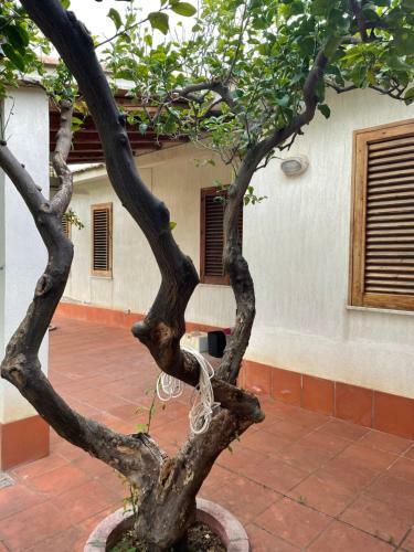 Villa Elisa