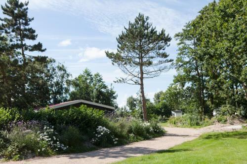Strand49 Chalet Aanzee