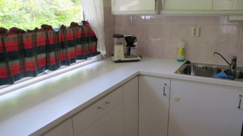 Skogstad Holiday Home