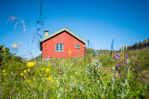 Lodge Olest�len
