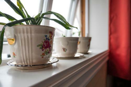 Apartamento Idylliske Skudeneshavn