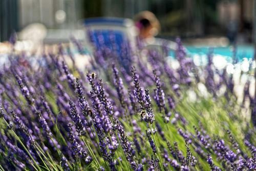 Hotel Logis Des Trois Maures