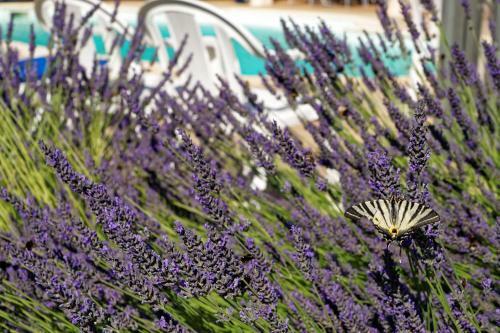 Hotel Logis Des Trois Maures