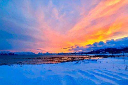 Apartamento Nyoppusset Leilighet I Sortland Sentrum