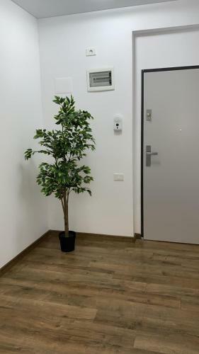 Mamaia 435a Apartament 10