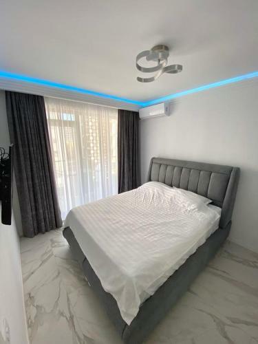 Lotus Studios - Apartments